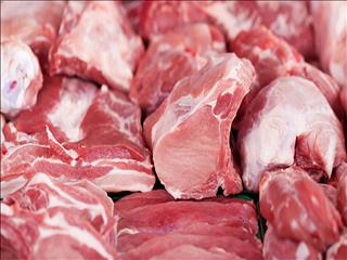 پیش‌بینی تولید ۲۰۰ هزار تن گوشت از دو نوع دام شتر و گاومیش