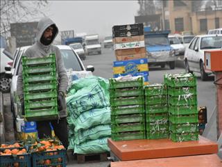 جمع‌آوری و معدوم‌سازی کالاهای غیرمجاز میدان میوه و تره‌بار