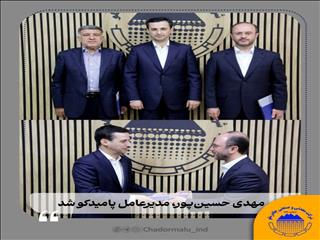 مهدی حسین‌پور، مدیرعامل پامیدکو شد