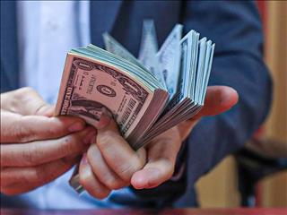 عقب نشینی قیمت دلار رسمی در روز نیمه‌تعطیل