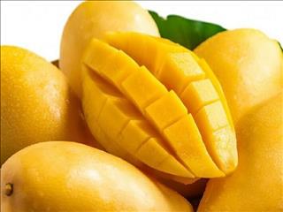 واردات انبه از کنیا مجاز شد