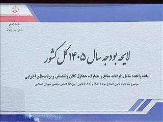 عدد پنهان بودجه ۱۴۰۵؛ چرا دخل دولت حتی روی کاغذ هم به خرجش نمی‌رسد؟