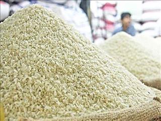 طرح جهش تولید برنج در کشور آغاز شد
