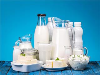 رشد ۳۲ درصدی صادرات لبنیات با جذب شیر یارانه ای
