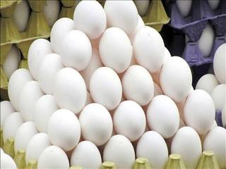 ظرفیت تولید تخم‌مرغ در کشور ۲.۵ میلیون تن است