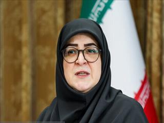بررسی واگذاری مدیریت بنگاه‌های دولتی به بخش خصوصی در دولت