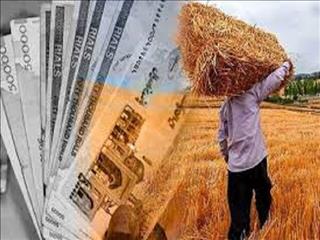 نیکزاد: دولت بخش قابل توجهی از مطالبات گندم‌کاران را پرداخت کرده است