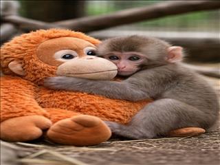 درس پانچ برای ما